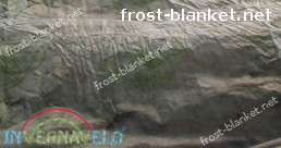 frost blanket on plants for the protection them