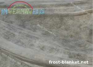 frost fabric used for protect plants