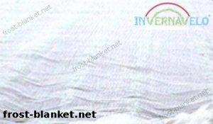 frost fabric used for the crops care